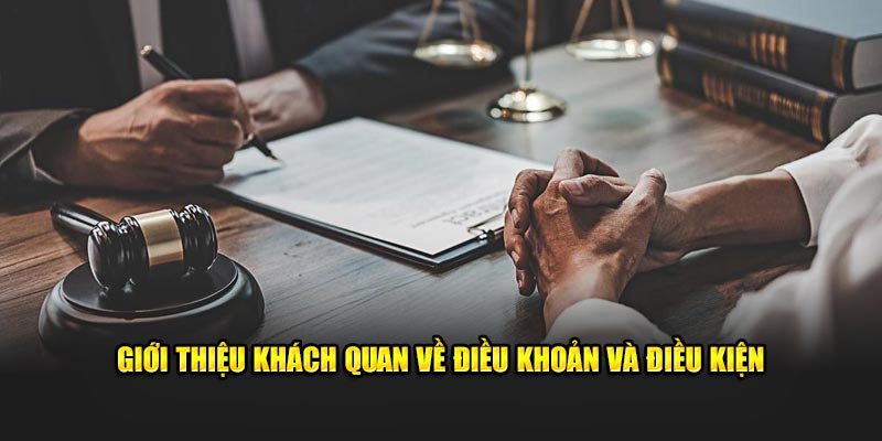 Đôi điều khách quan về điều khoản và điều kiện